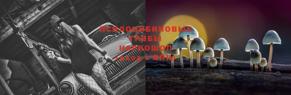 МДПВ Алексин