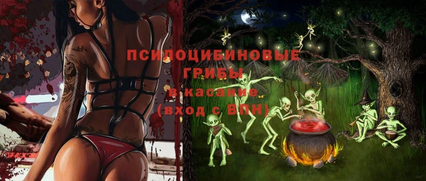 МДПВ Алексин
