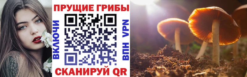 Псилоцибиновые грибы Magic Shrooms  ОМГ ОМГ tor  Скопин 